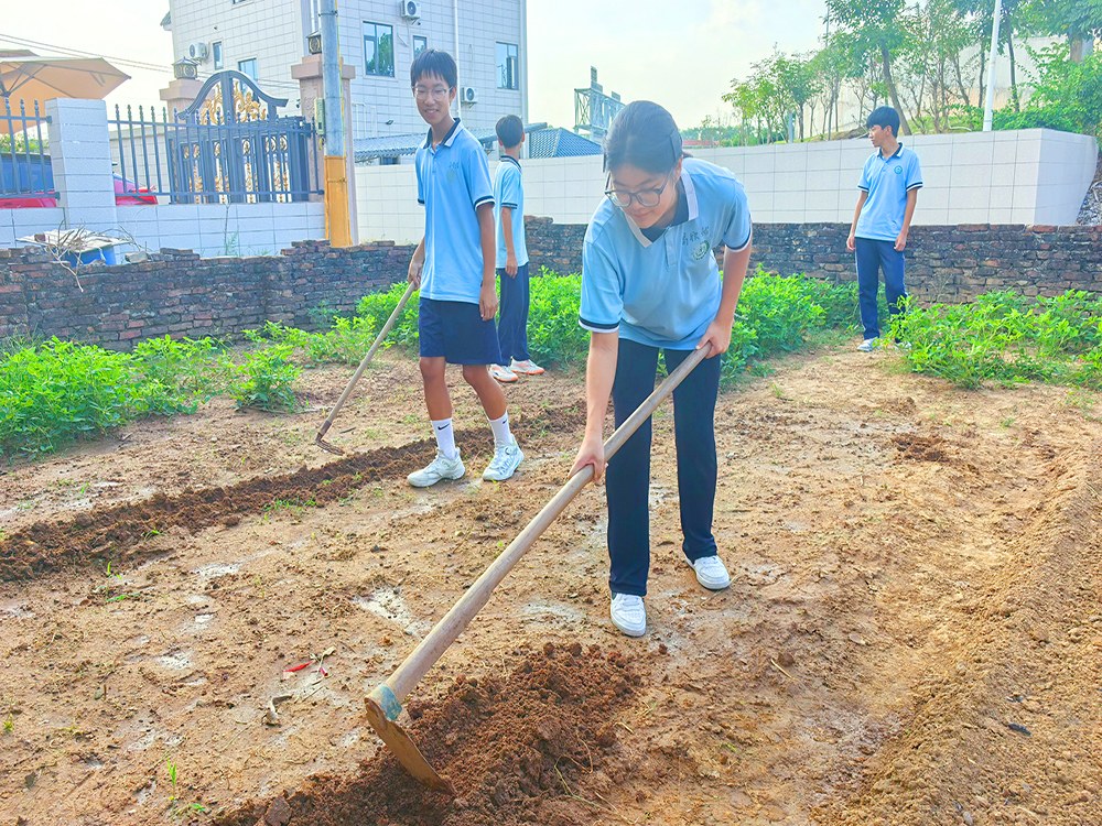 山东淄博正规青少年素质教育学校具体位置与择校指南